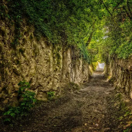 Dreilaendereck Am Kaiserstuhl * Wasenweiler